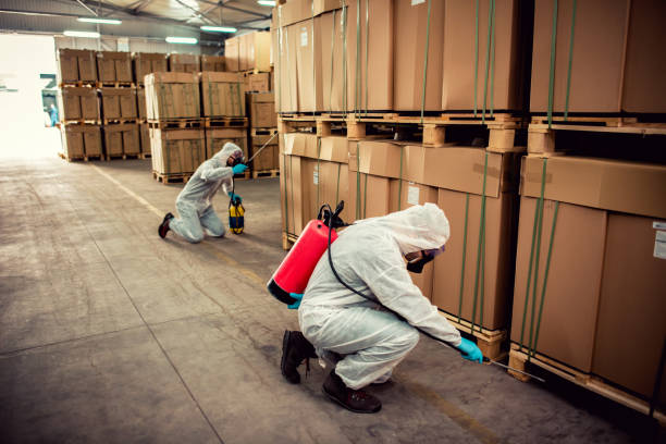 Best Pest Control Near Me  in Hallsville, MO