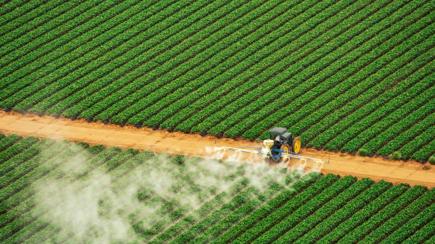 Professional Pest Control in Hallsville, MO
