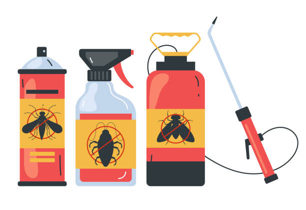 Best Pest Inspection Near Me  in Hallsville, MO